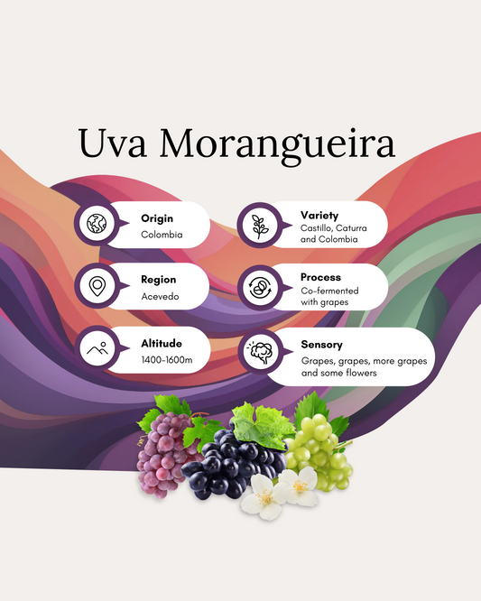UVA Morangueira – Uva – Café 200g