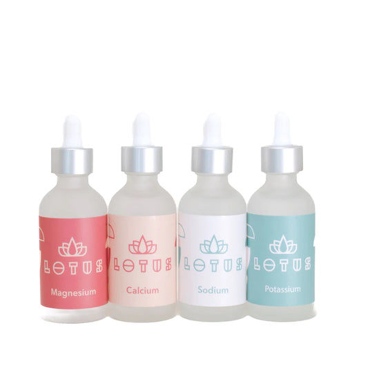 KIT DE AGUA DE LOTO 4 SET