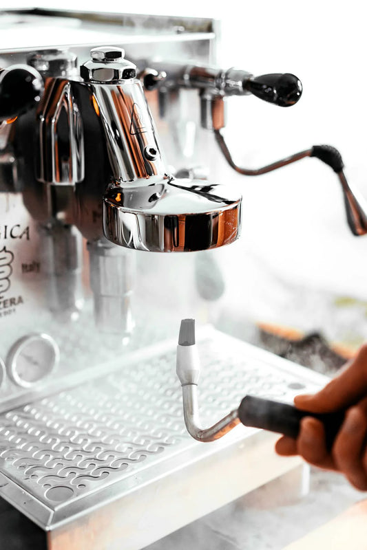 JOEFREX GMBH Steam cleaning brush with hose & universal attachment