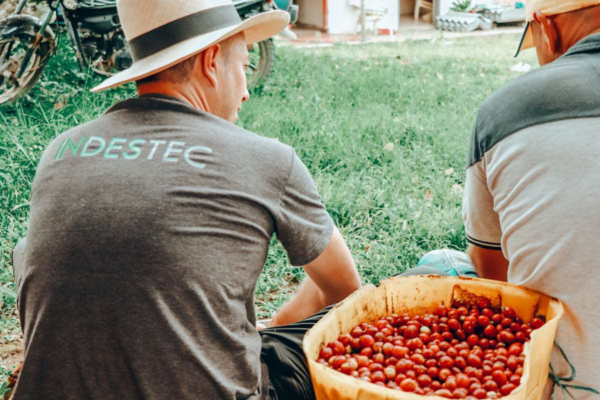 Pastel de Nata Colombia Diego Bermudez 200g Coffee Beans