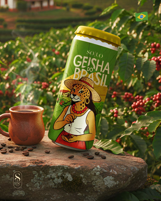 Geisha do Brasil - Danilo Barbosa