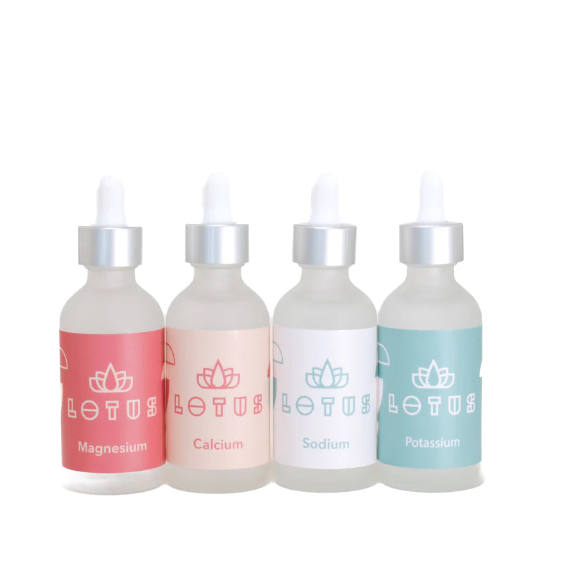 LOTUS WATER KIT 4SET