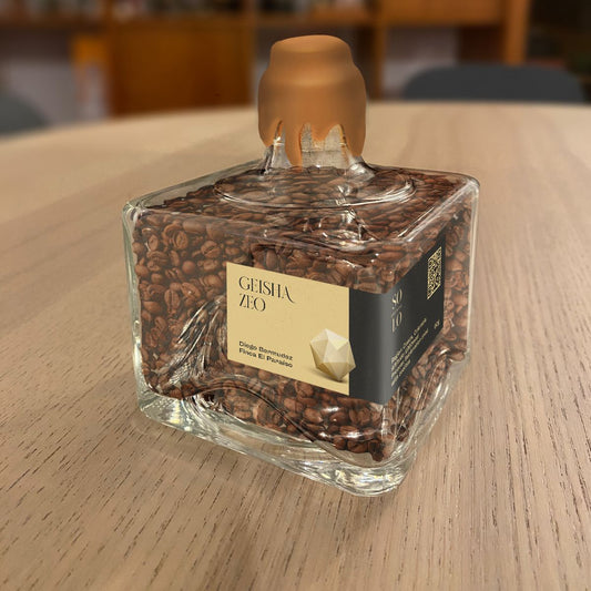 Gueixa ZEO Colômbia Diego Bermudez