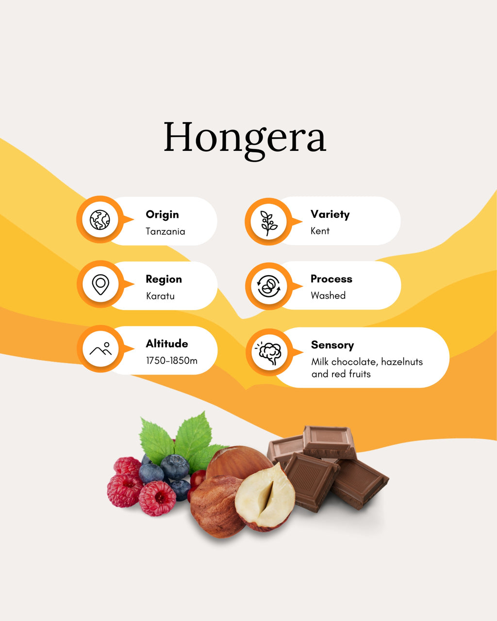 Hongera Kent AA Washed - Leon Christianakis