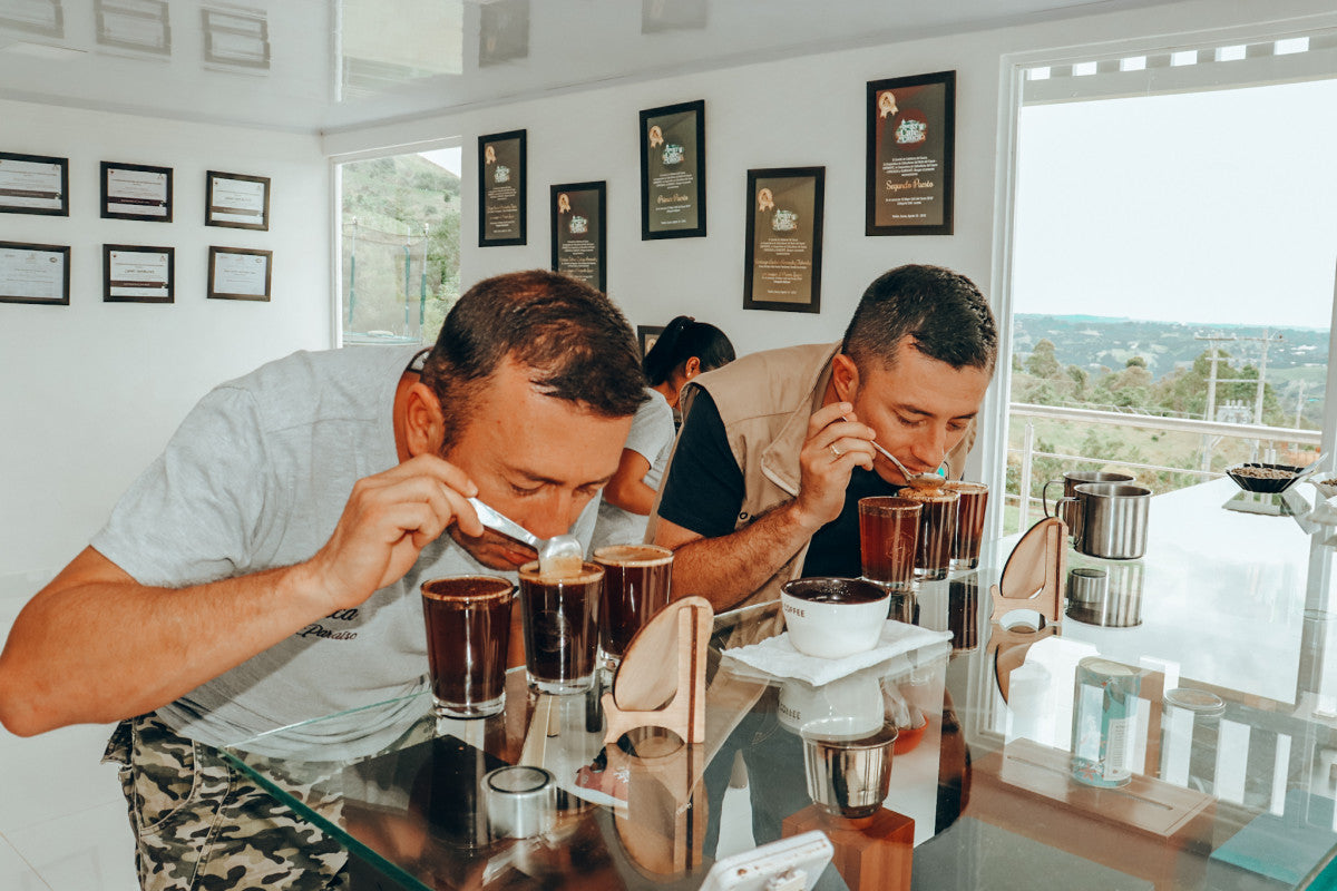 Pastel de Nata Colombia Diego Bermúdez 200g Café en Grano